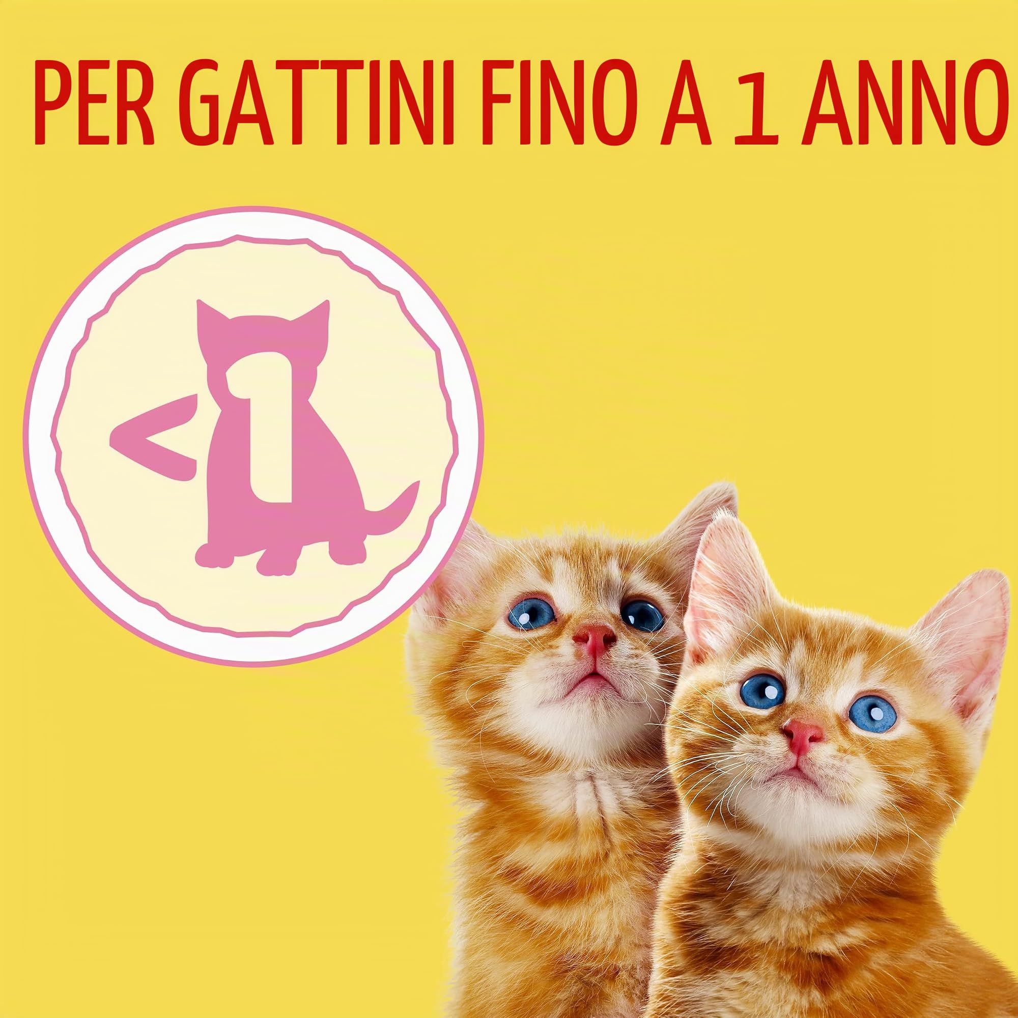 Purina Friskies Mangime per gattino, Junior, Bambino, fino a 1 anno con Pollo, Tacchino e Verdure, 6 sacchetti da 1,5 kg