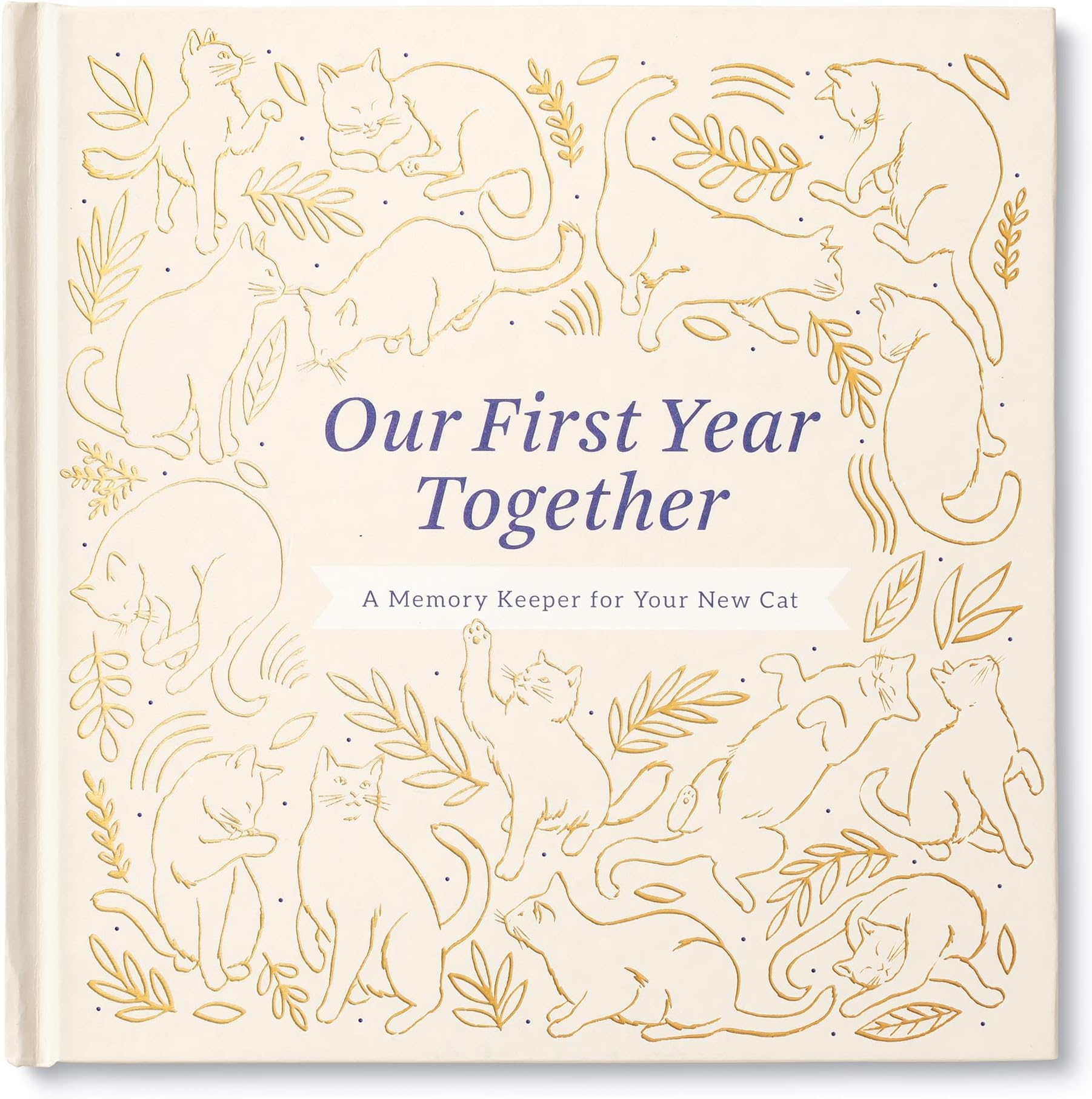 Our First Year Together: A Memory Keeper for Your New Cat