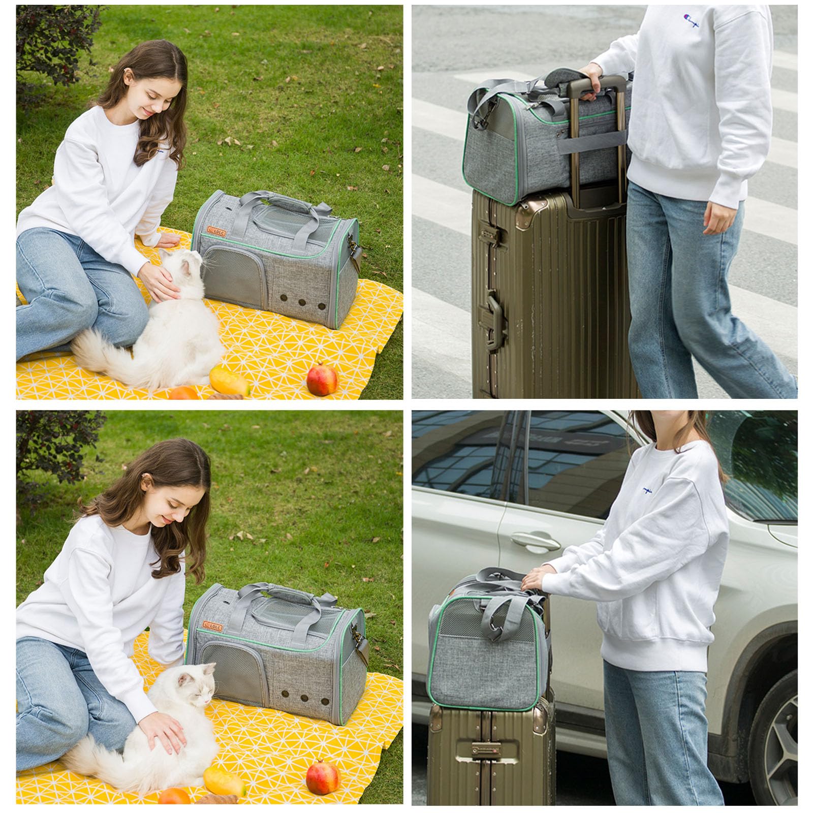 Transportín para gatos medianos y pequeños de menos de 16 libras, transportador portátil de lados suaves para mascotas para viajar, transportador plegable para perros pequeños aprobado por aerolínea