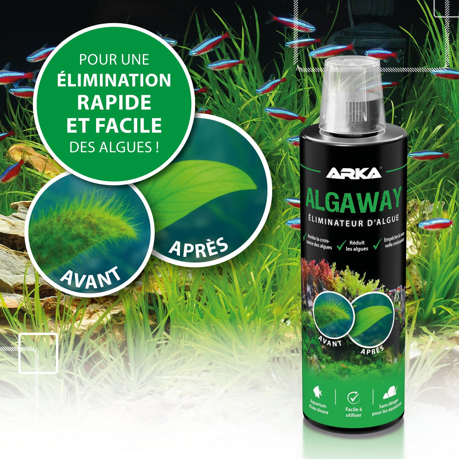 Éliminateur d’algues Aquarium 473 ML – ARKA Algaway – élimine algues filamenteuses, Vertes & encroutantes – sans cuivre & Compatible Plantes – Eau cristalline & équilibre pour Aquariums d’Eau Douce