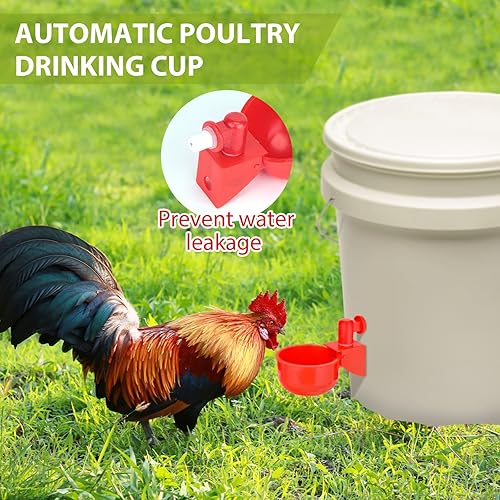 Miniatura 6 de Kit de alimentador de pollo de 12 piezas y kit de 12 tazas de agua de pollo, taza de agua de pollo por gravedad y kit de puerto de alimentador