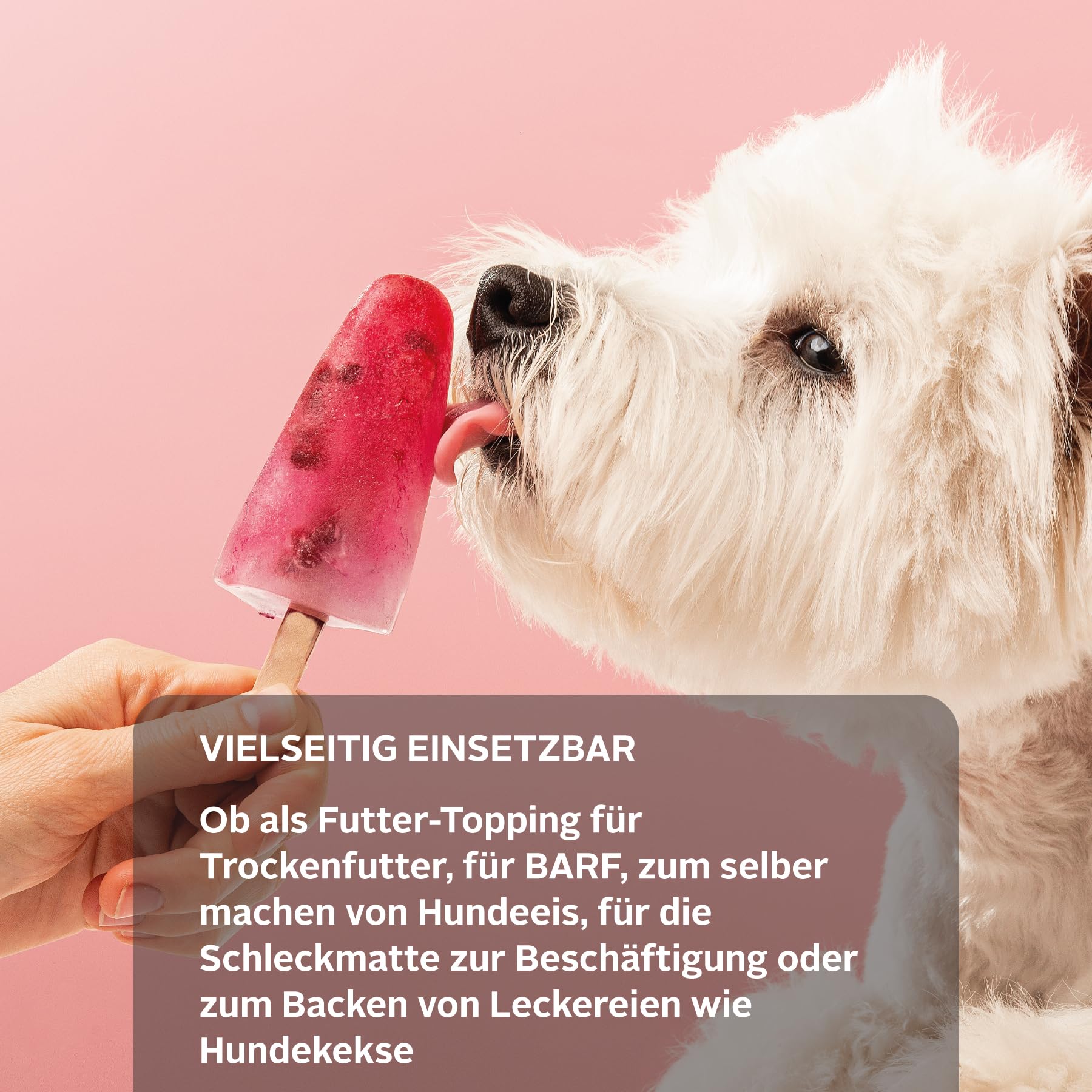 TJURE Hundesmoothie Huhn mit Beeren | 6 x 220 ml | Premium Smoothie für Hunde | Mit Hühnerfleisch & Beerenmix | Getreidefrei & Laktosefrei | Ohne Zusatzstoffe | Made in Germany