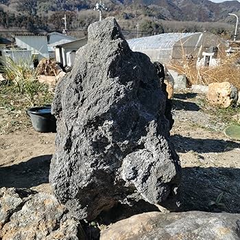 Amazon.co.jp: 富士溶岩石160キロ庭石鑑賞石石盆石水石灯籠庭坪