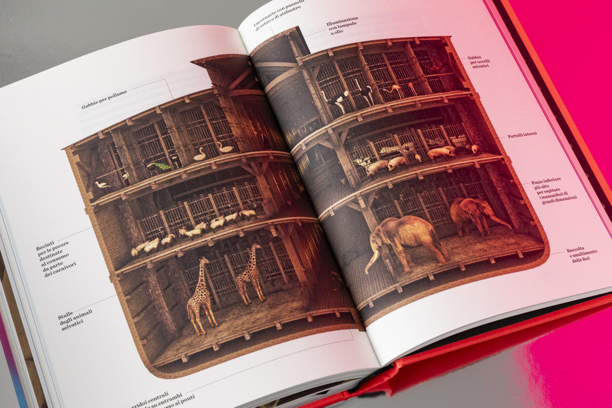 Il libro della Genesi