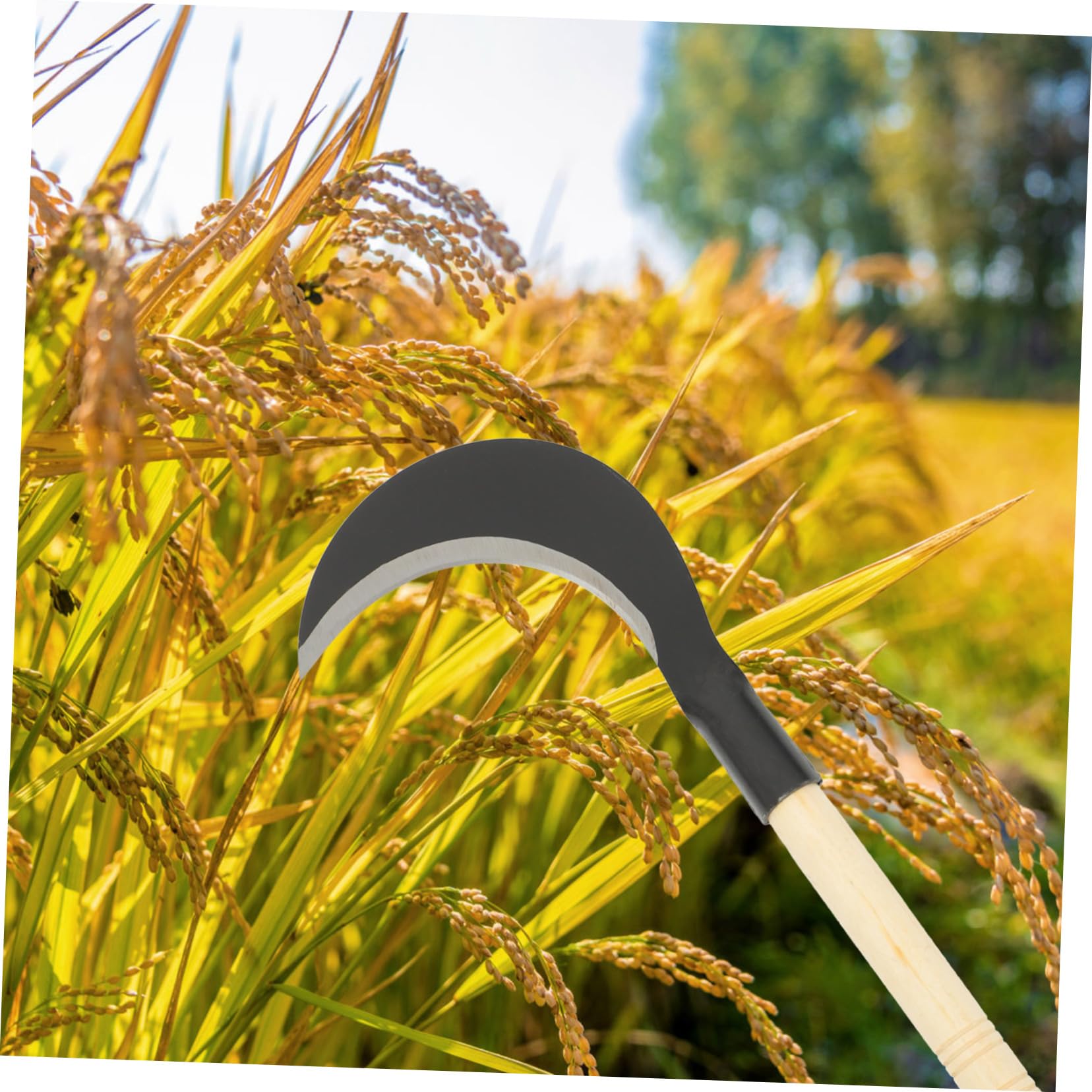 BESPORTBLE guadaña de Mano cortacésped Lawn Mower roçadeira Grass Trimmer Herramienta de deshierbe Hierba de Acero al manganeso Cuchillo de jardinería Hierba de jardineria