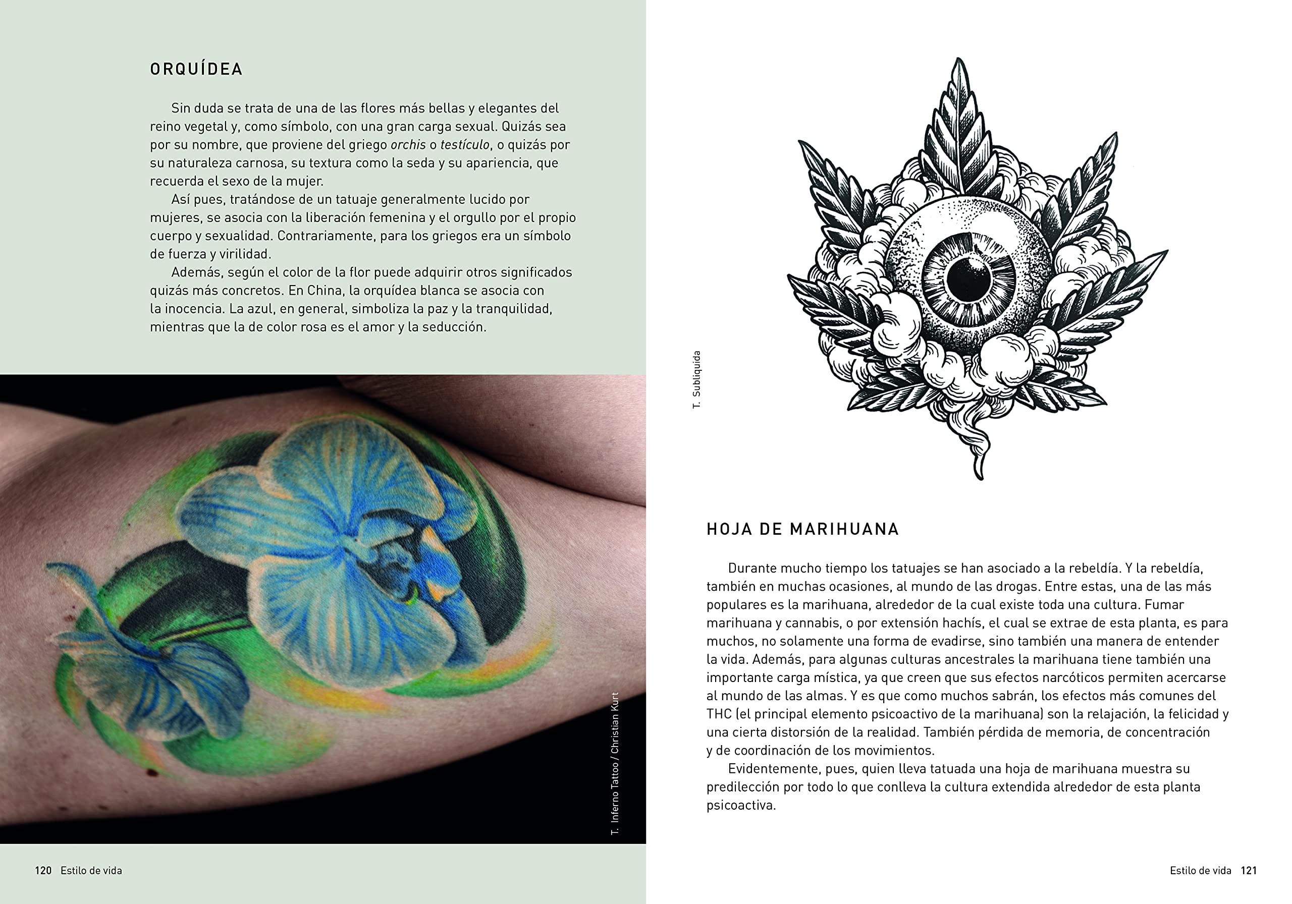 La vida secreta de los tatuajes. Significados, formas y motivos