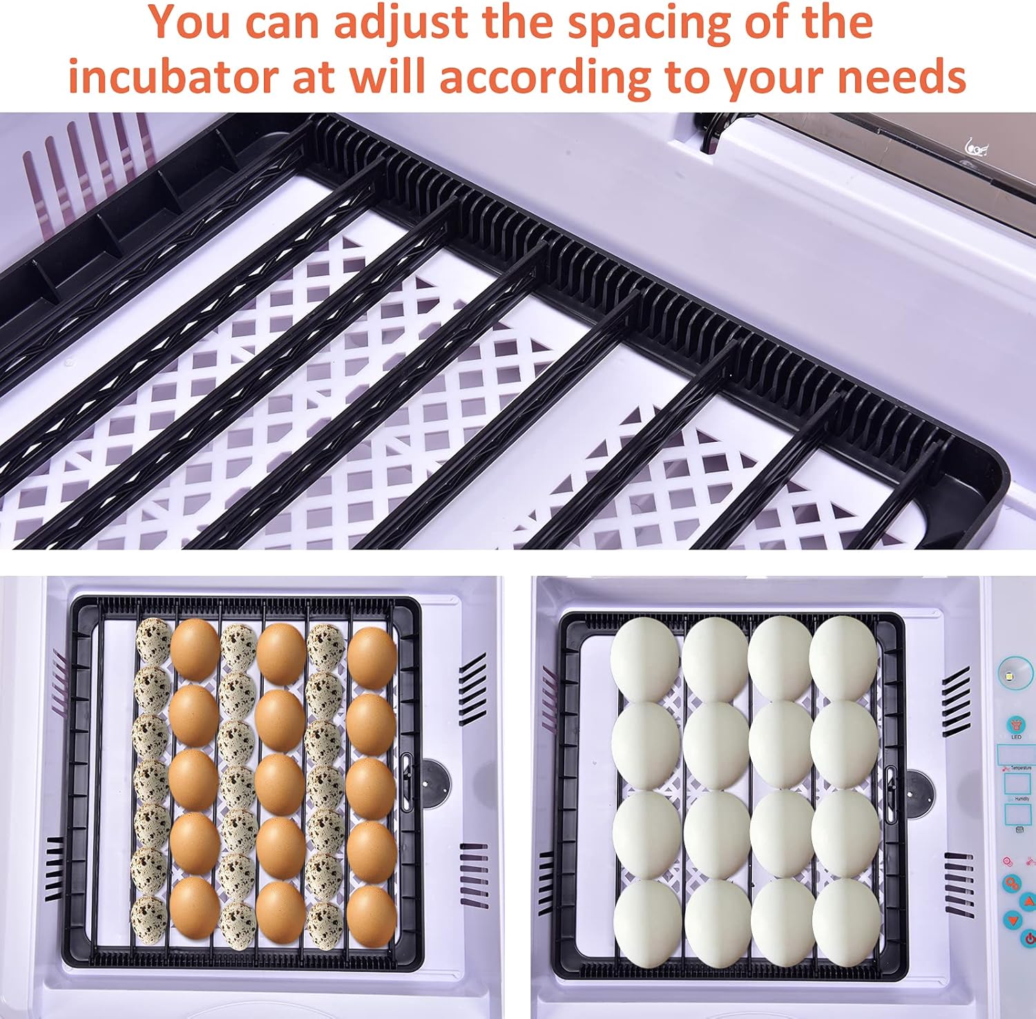 Adjustable egg slot spacing
