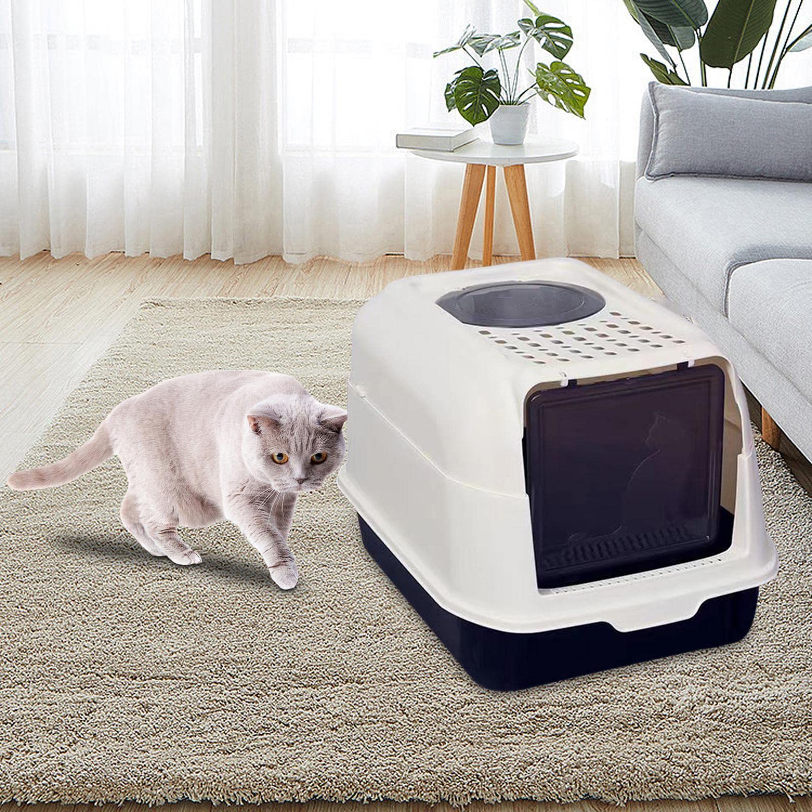 Arenero Cerrado para Gatos Y Gatitos, Cubierto, Fácil de Limpiar, con Puerta, Ideal para Viajes Y Entrenamiento de Gatitos Pequeños, Negro