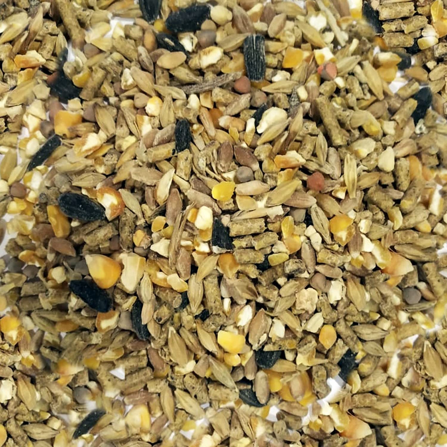 Mezcla Natural de Cereales para Gallina Campera 25Kg