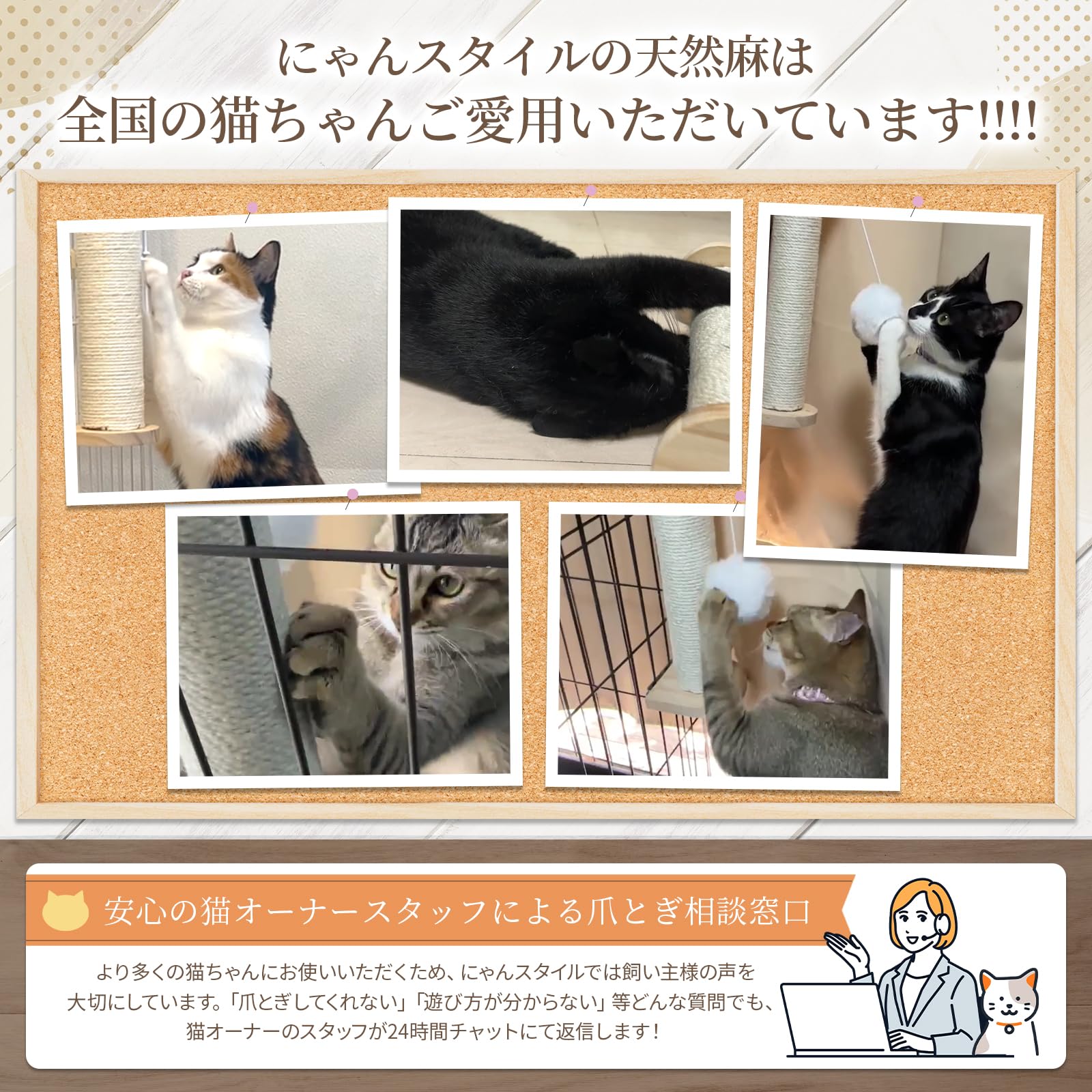 にゃーーん様　ご確認用 ねこねこ】確認用 n-gachya-1.jpg