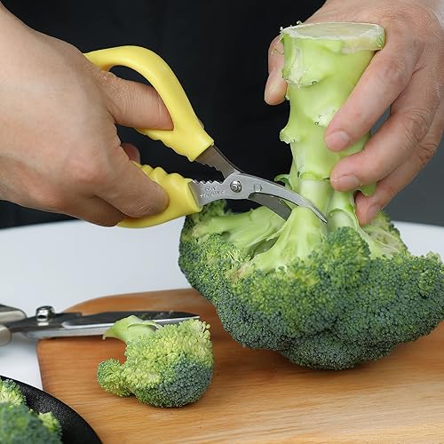 Miniatura 4 de Endurance - Tijeras de mariscos de acero inoxidable de 6.1 pulgadas, 12 unidades, color amarillo