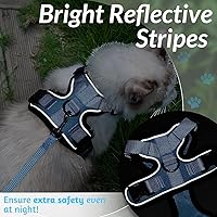 Vista 216 de rabbitgoo Arnés y correa para caminar, a prueba de escapes, chaleco suave y ajustable para gatos, fácil de controlar, transpirable, tiras