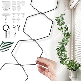Chain Trellis for Climbing Plants - Indoor & Outdoor House Plant Accesso...