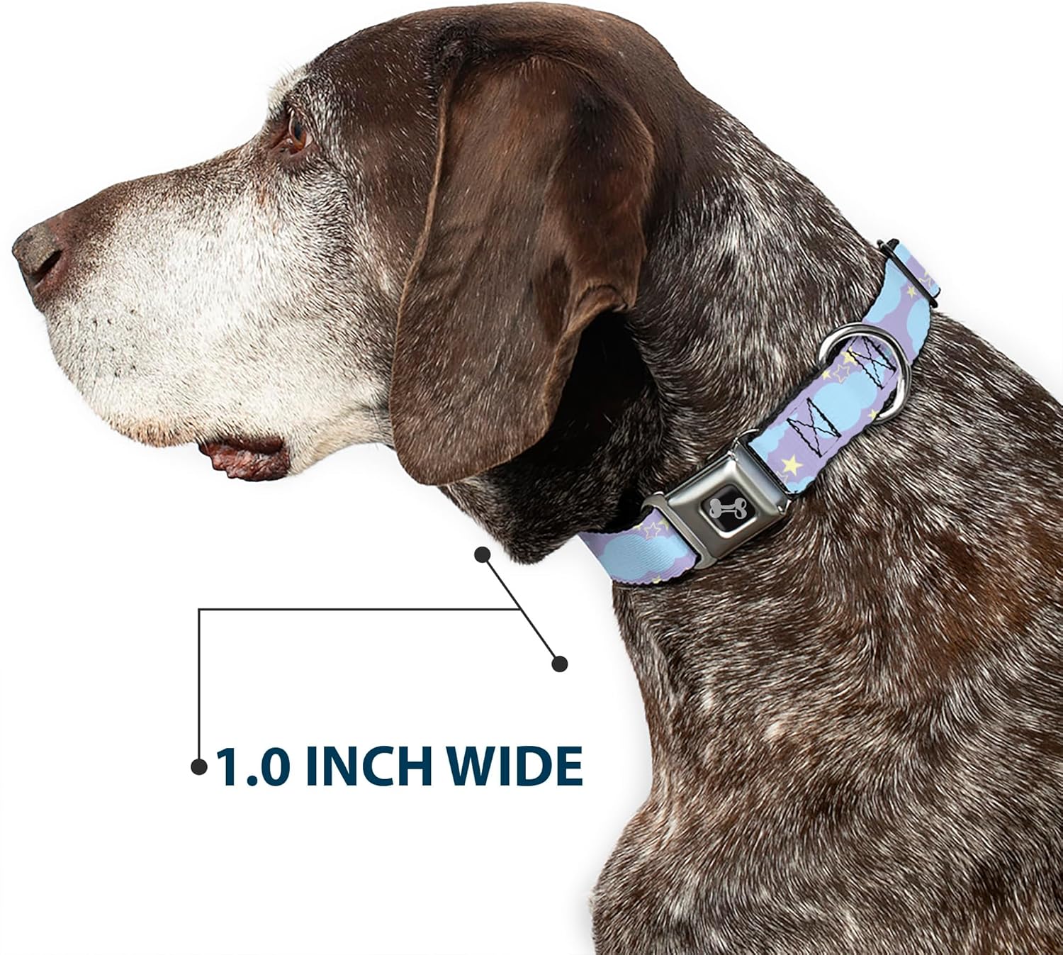 Buckle-Down DC-W38104-M Seatbelt Dog Collar, Medium, Cloudy/Starry Sky Lavender/Blue/Yellow