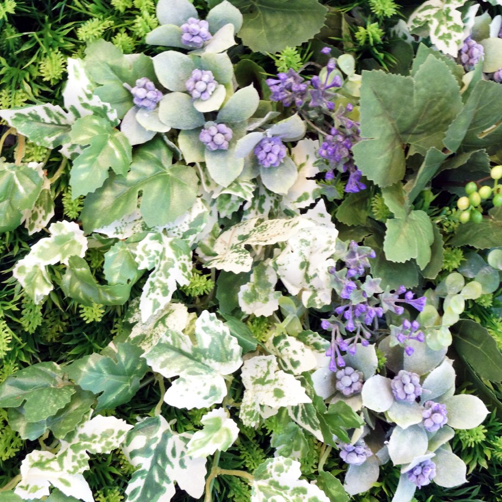 光触媒　人工観葉植物　ウォールグリーン　フェイクグリーン　ロックフレームナチュB 楽天市場】壁掛け グリーンフレーム ドラセナ ブラック（光触媒