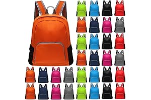 48 Pcs Back Packs in Bulk for Kids: Essential School Supply