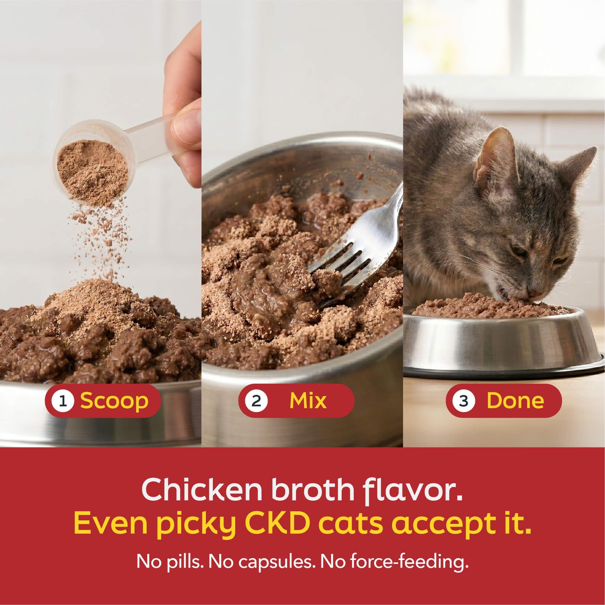 Daybreak Nutrition Kidney & Urinary Support for Cats (60 Serving) — Amazon image 6
