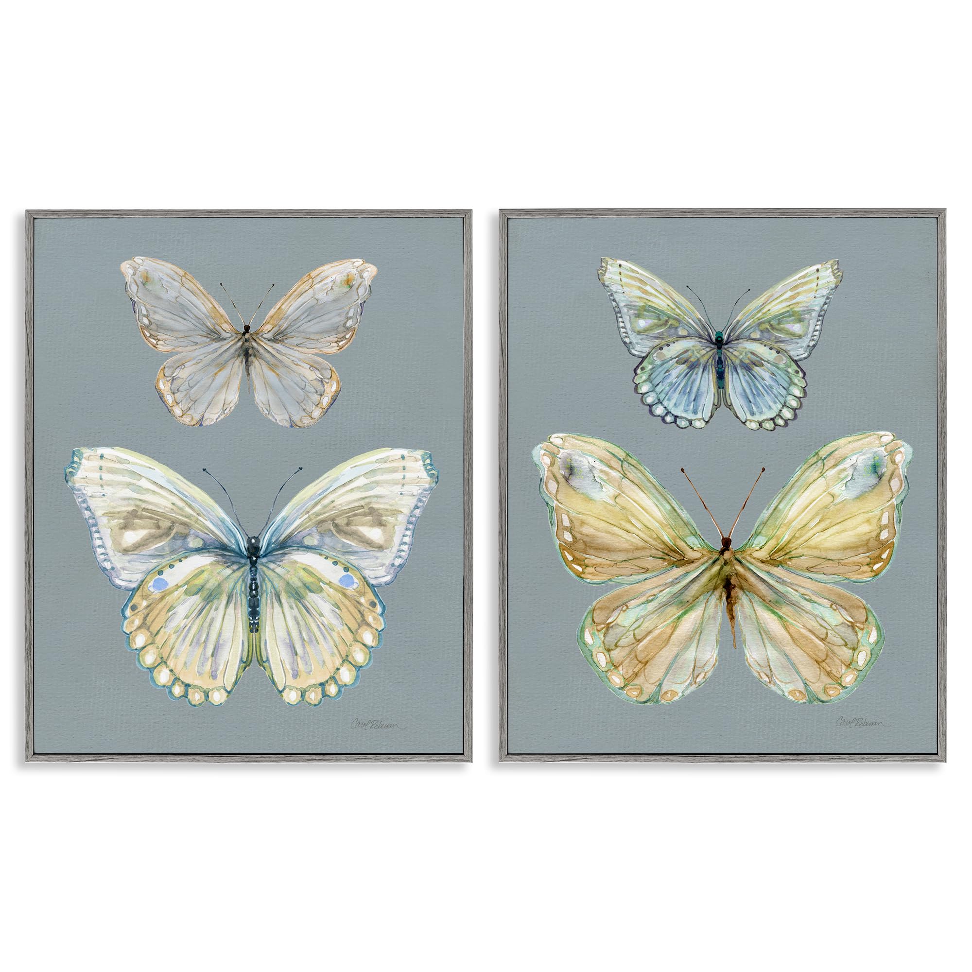 Stupell Industries 'Butterfly Pairs over Slate', 2pc Framed Giclee Art Set 2, Gray, 24 x 30 Inches, Easy to Hang and Sturdy, Made in USA, by Carol Robinson