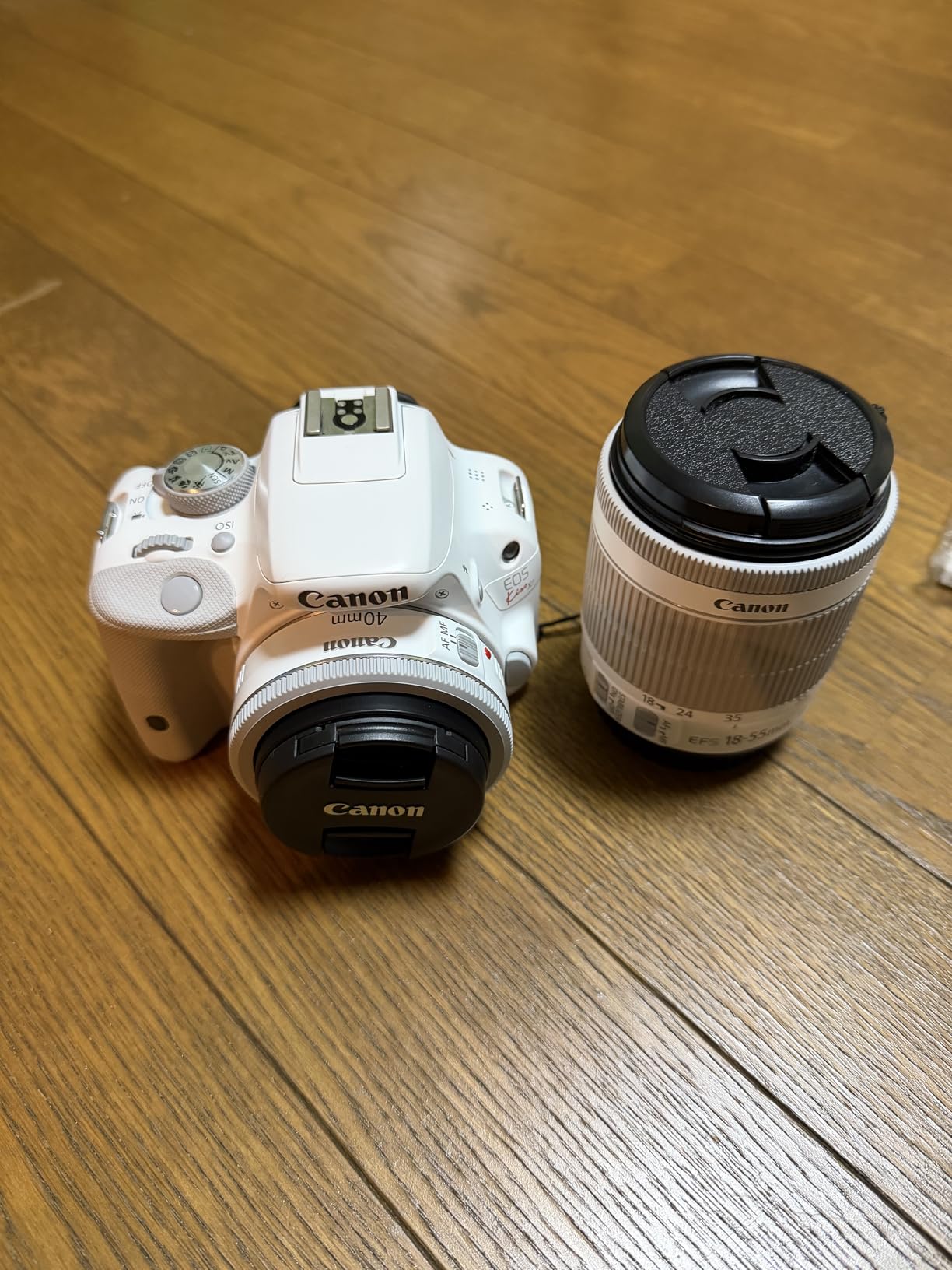 Canon Digital Single-lens Reflex Camera EOS Kiss X7 Tunisia | Ubuy