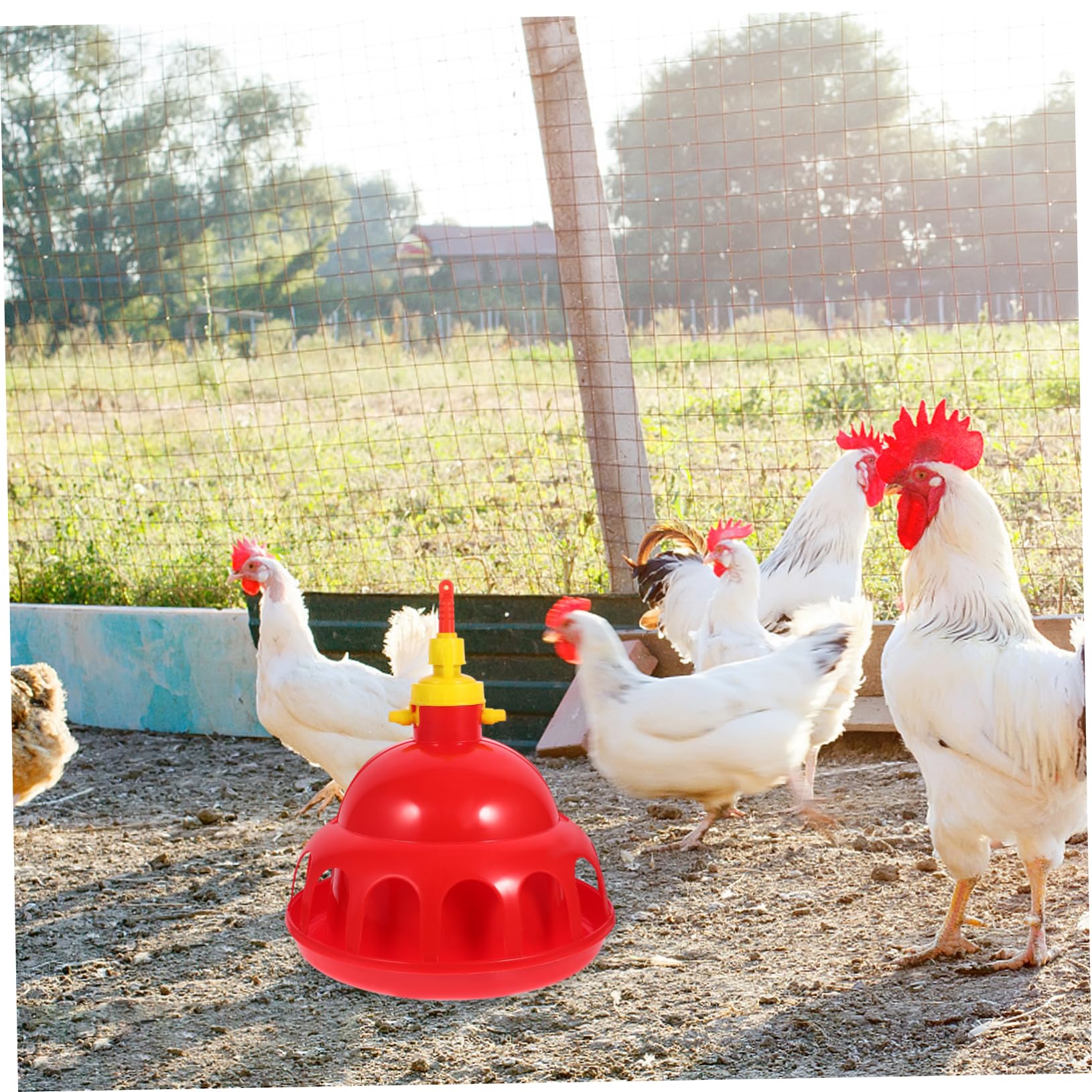 Abbeveratoio per Pollame Automatico in Pp Rosso per Quaglie e Galline | Beverini per Galline Automatico, Facile da Usare e Sicuro, per Fattoria e Negozio
