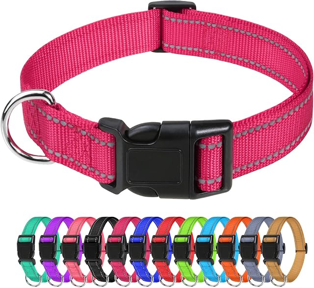 TagMe Reflective Nylon Dog Collars, Adjustable Classic Dog Collar with Quick Release Buckle for Small Dogs, Pink, 2.0 cm Width