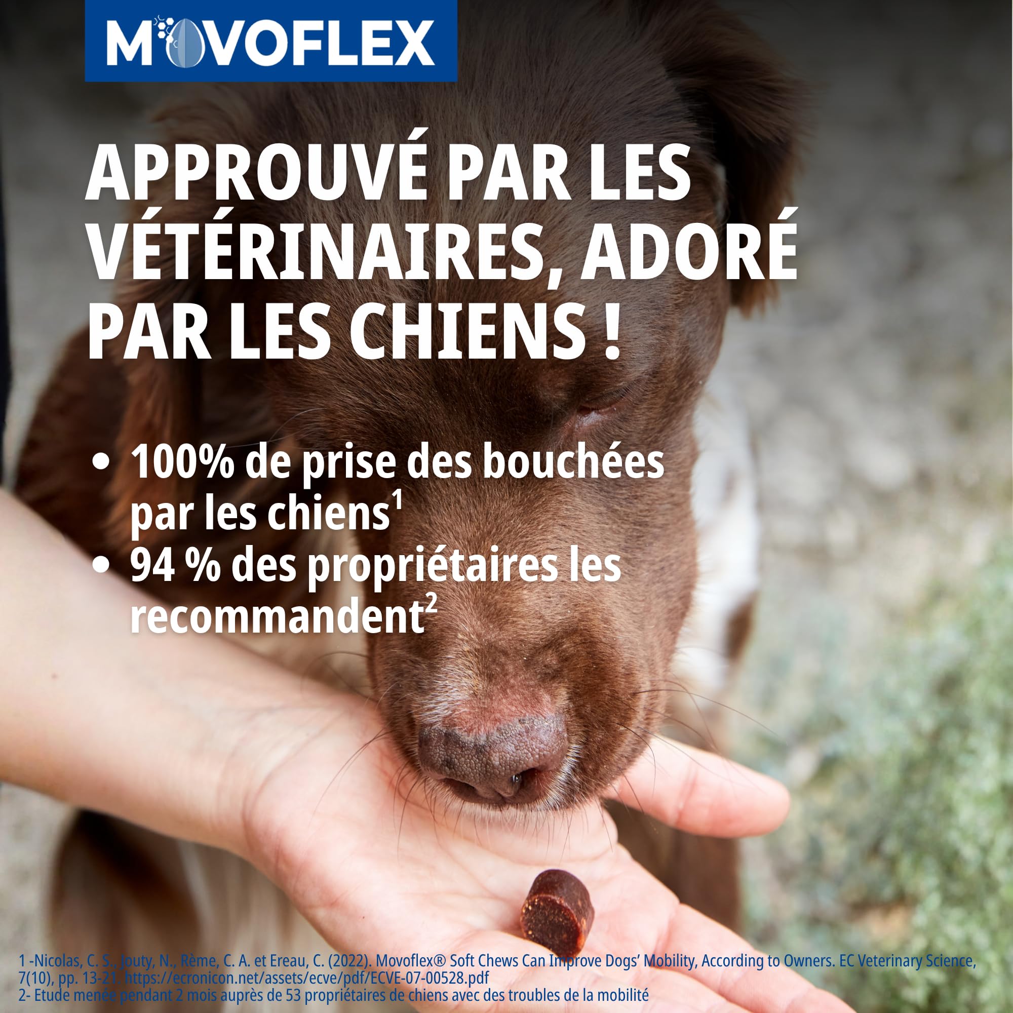 Movoflex Soft Chews | 30 pezzi | Per cani di oltre 35 kg | Alimento complementare per la salute delle articolazioni | Per mantenere le strutture articolari | Con acido ialuronico