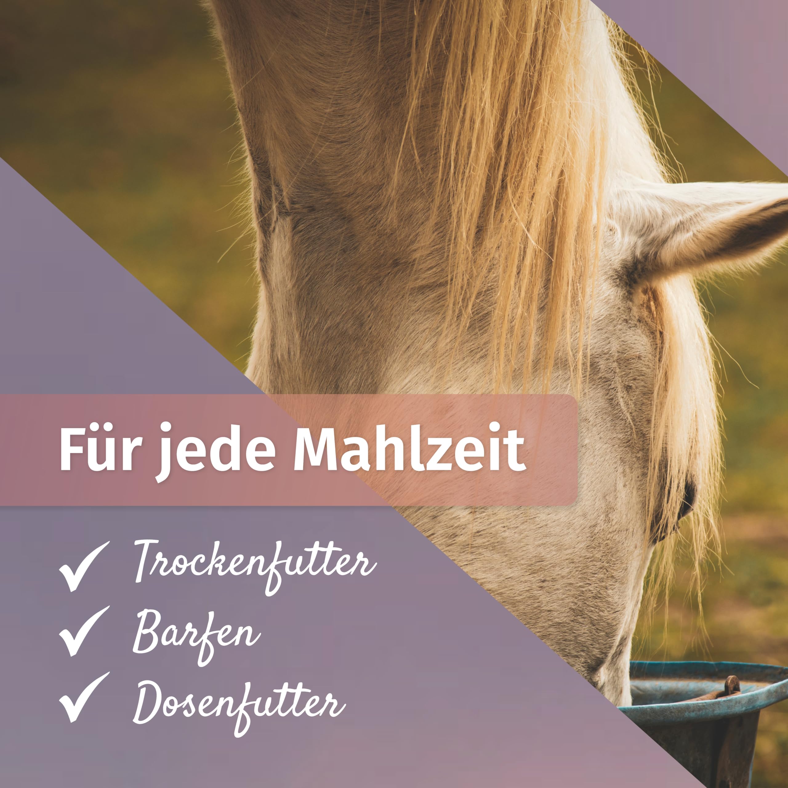 Martenbrown® Nasiona ostropestu plamistego 2,5 kg dla koni, psów i kotów – całe nasiona ostropestu plamistego bez dodatków - 100% produkt naturalny