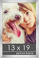 Vista 294 de Marco de 28 x 36 pulgadas de madera de peltre plateado con plexiglás acrílico UV, parte trasera de tablero de espuma y accesorios incluidos