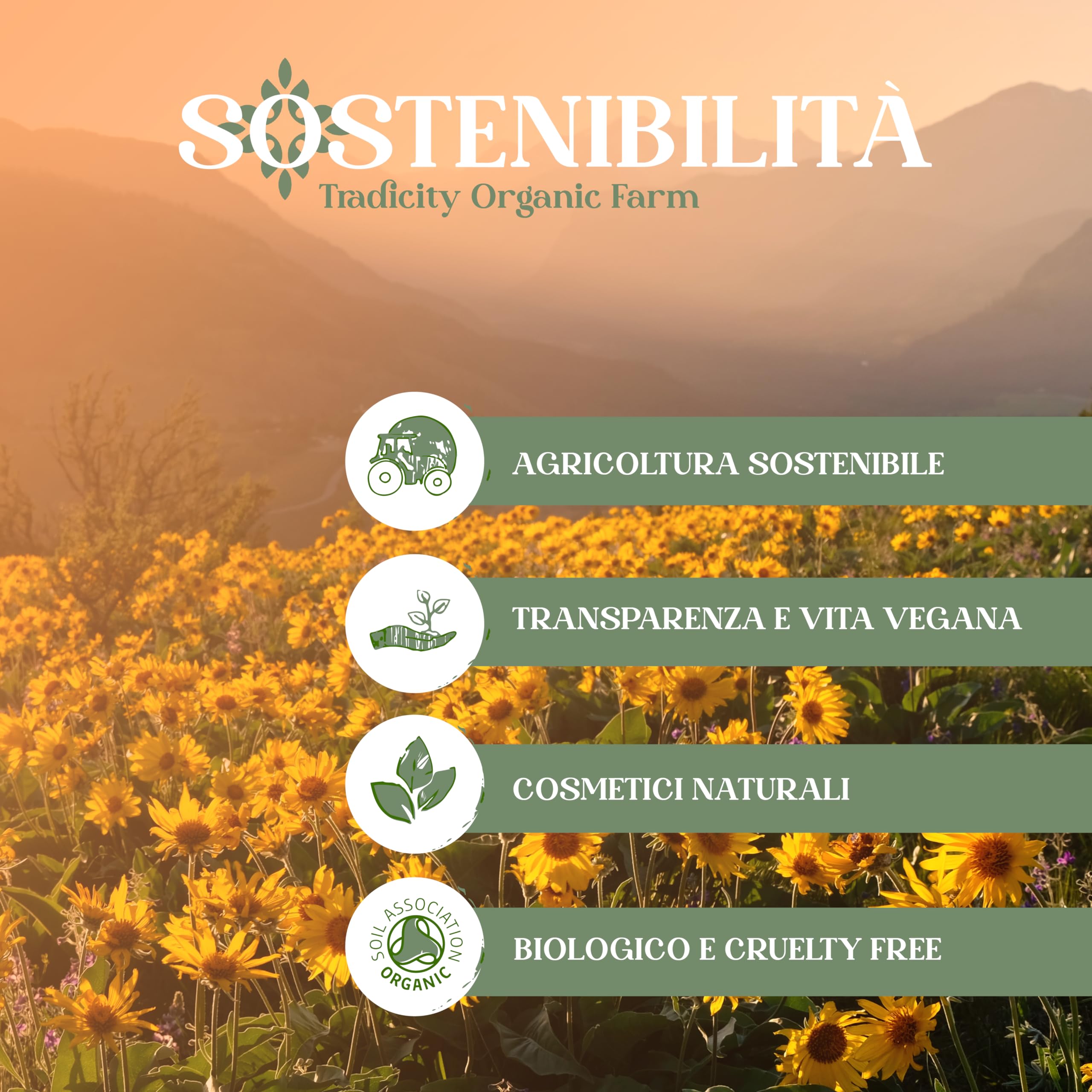 Gel di Arnica Montana al 90% 2000 ml Balsamo ad Alta Concentrazione Alleviare Tensioni Muscolari Gambe Stanche Rilassamento Recupero Muscolare Dopo l'Allenamento Sportivi