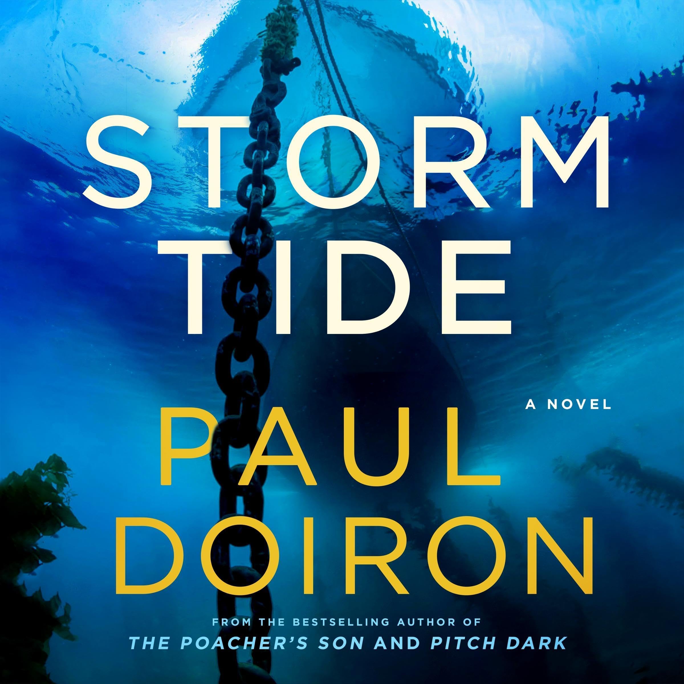 Cover art for Storm Tide