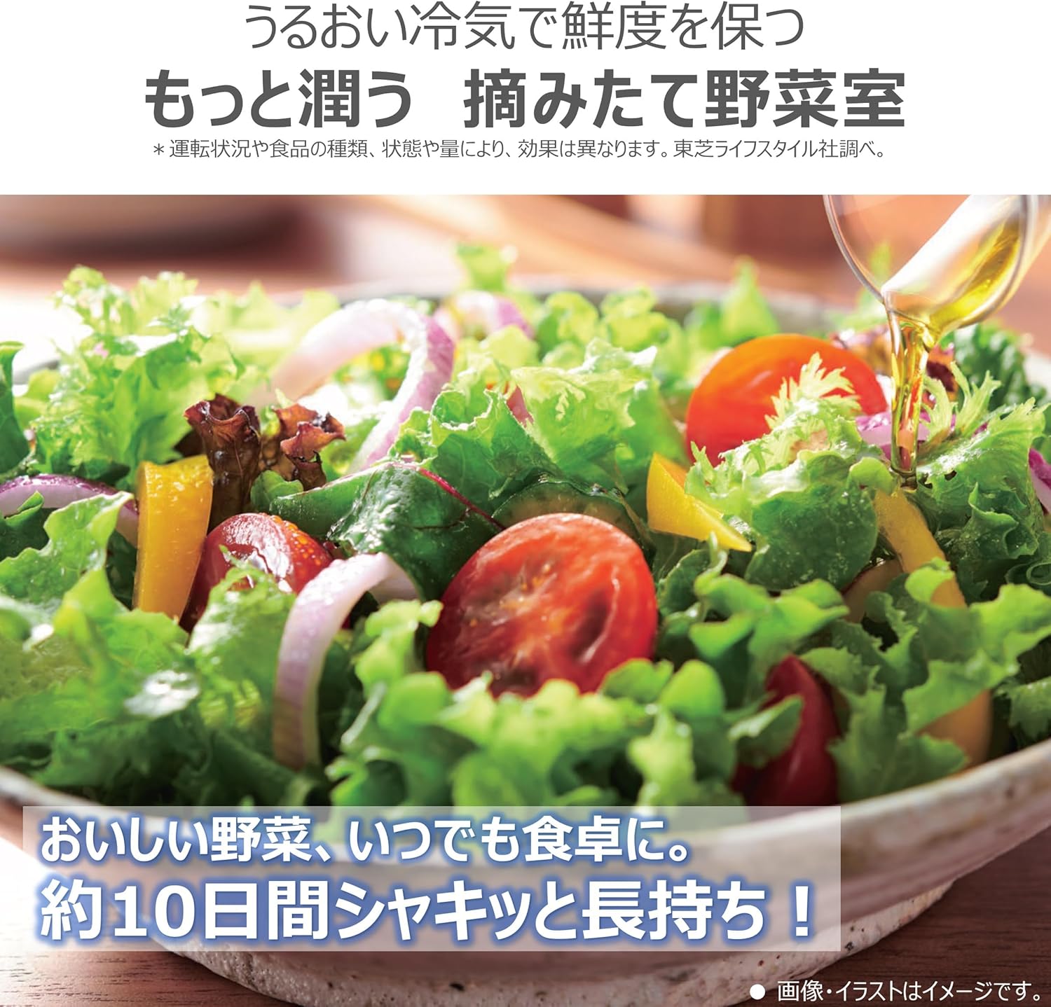 TOSHIBA(東芝) 冷蔵庫 幅60.0㎝ 奥行き70.6cm 501L 右開き GR-Y500GTM(NS) エクリュゴールド