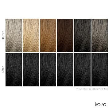 iroiro Permanent Gray Coverage Hair Color (Black, 4.72 oz)