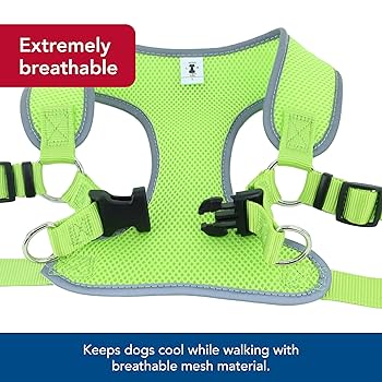 Amazon.com : Coastal Pet Comfort Soft Reflective Wrap