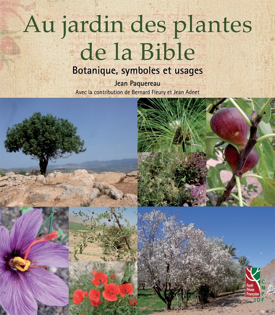 Au jardin des plantes de la Bible botanique, symboles et usages (0000)