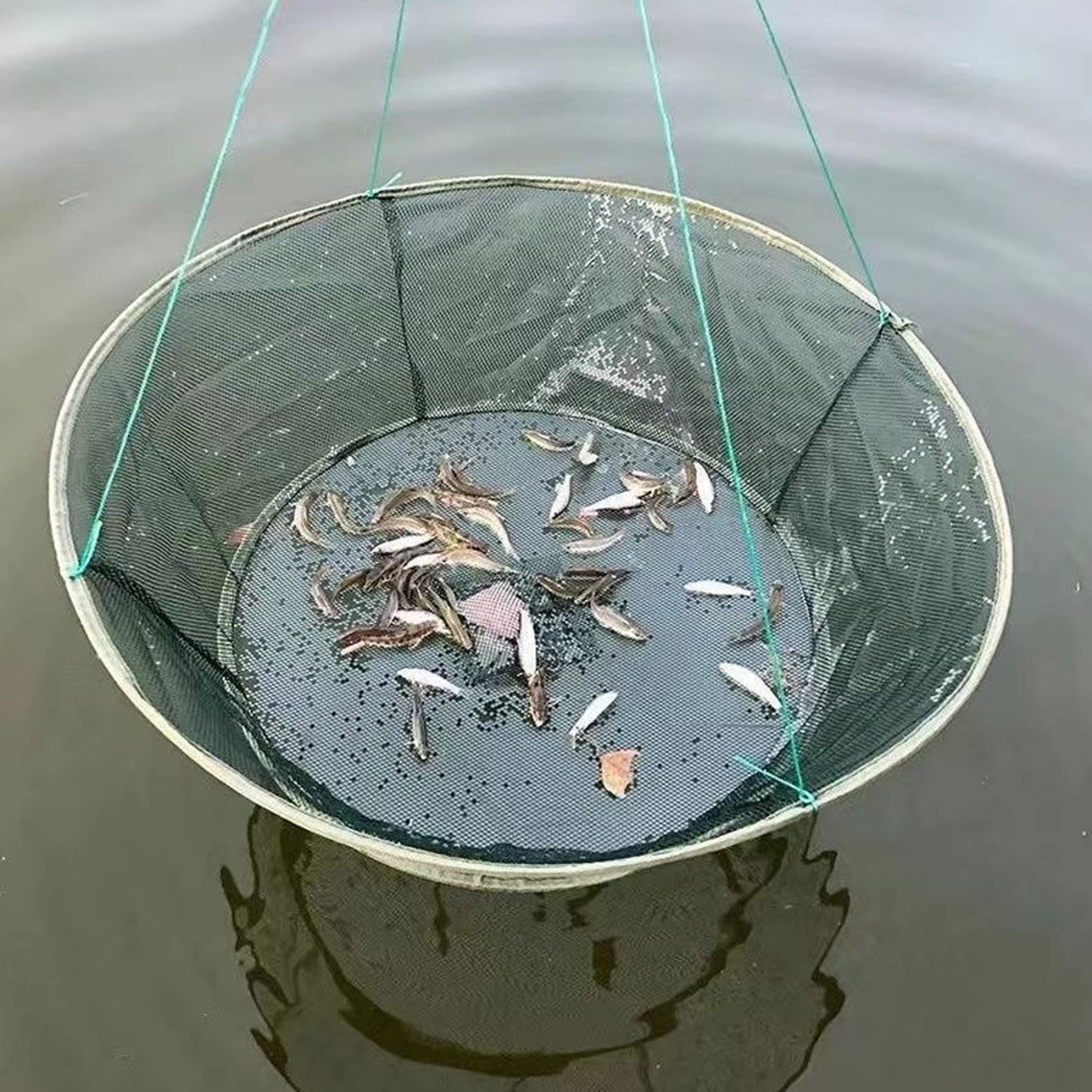 Filet de Pêche Pliant Portable - Piège à Mailles Pour Ménés, Homard, Crevettes et Crabe