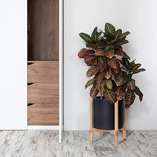 Miniatura 8 de D'vine Dev Maceta con soporte, maceta cilíndrica de plástico de 10 pulgadas con soporte para maceta de madera para interiores, maceta blanca mate +