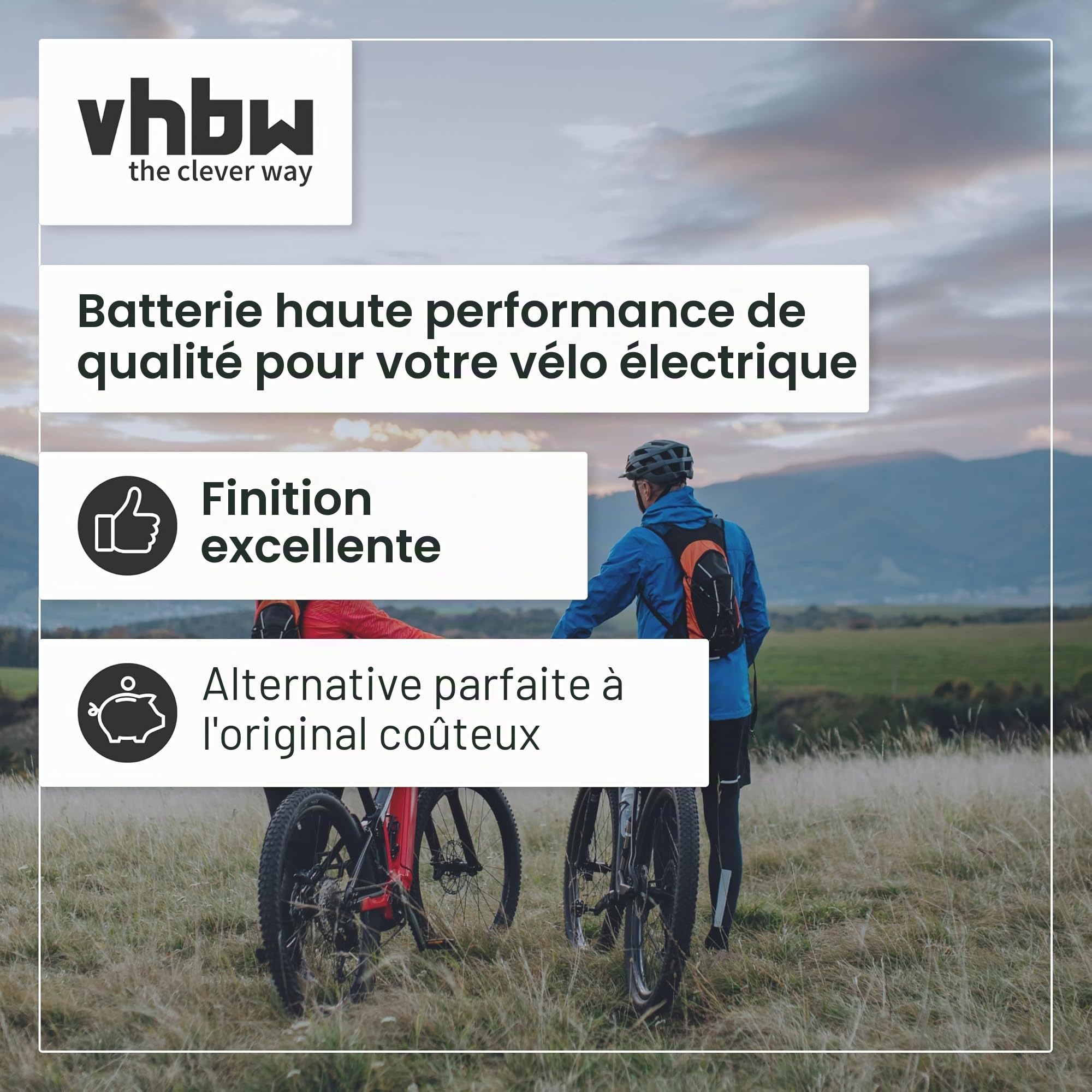 vhbw Batterie Compatible avec Flyer Cargo