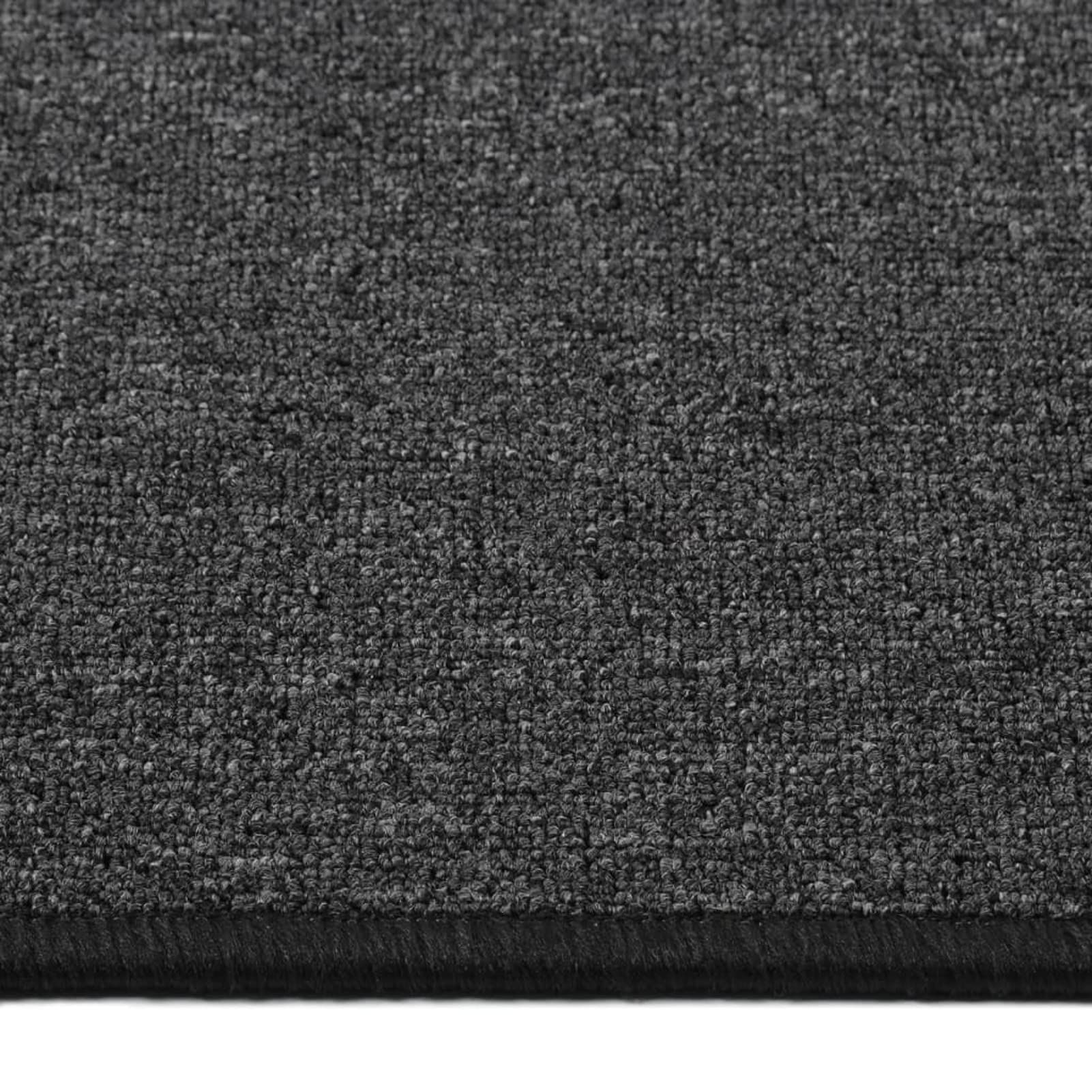 Tapis de Couloir Anthracite 80x300 cm,Tapis de Couloir,Tapis de Passage Couloir,Tapis de Décoration