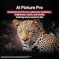 Vista 7 de LG OLED evo serie C5 televisor inteligente 4K de 55 pulgadas con AI, Dolby Atmos, Dolby Vision, HDR10, Super Escalado 4K por AI, Modo Cinemático