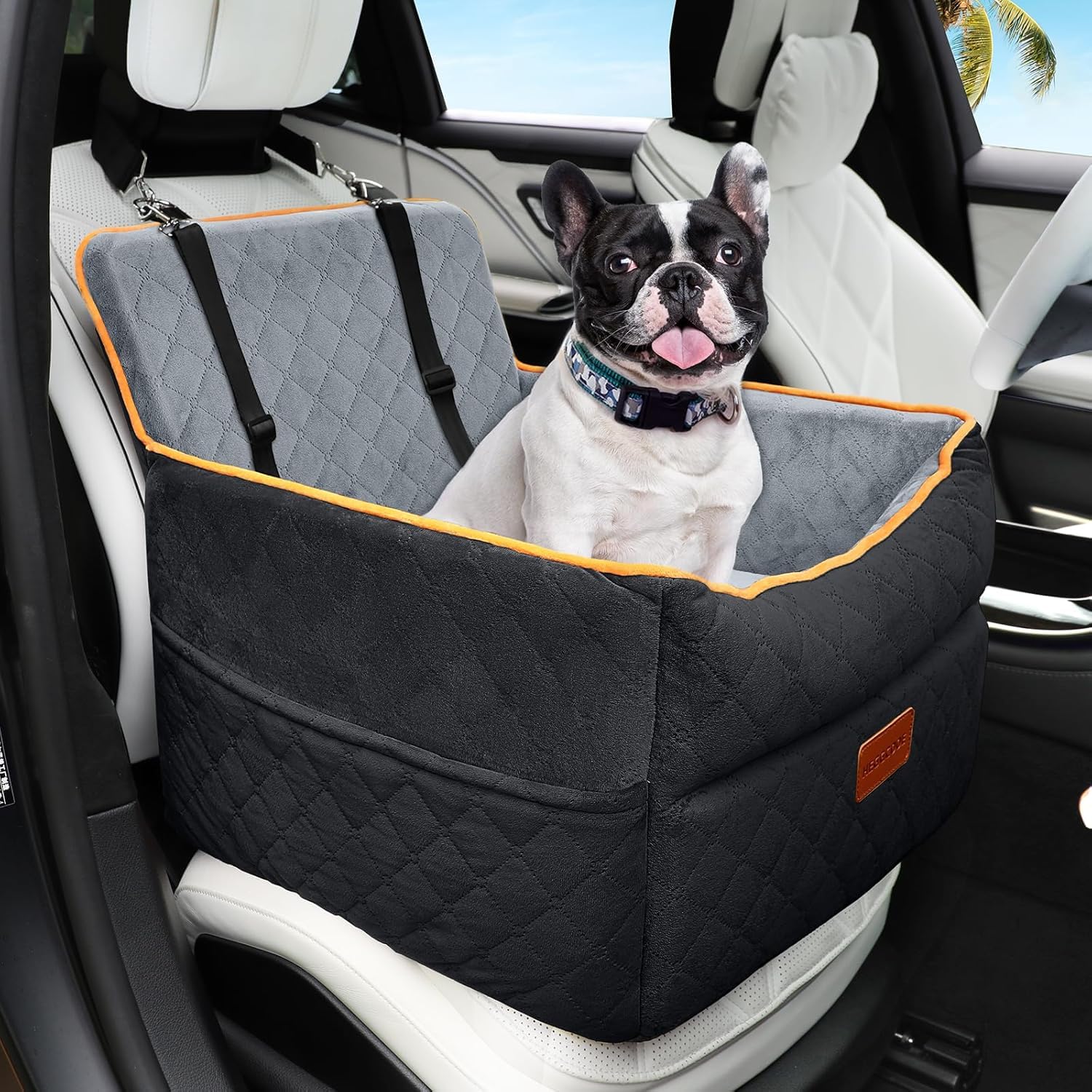 Small Dog Car Seat, Memory Foam Dog Booster Seats with Thick Cushion for Medium Dogs Under 35lbs, Detachable Washable Pet Car Seat with Storage Pockets,2 Safety Belts