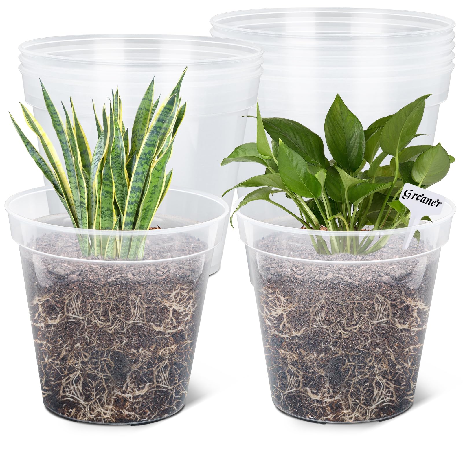 GREANER 10 Inch Nursery Pots, Clear Reinforced Plant Nursery Pots, High Transparency Flower Plant Container with 20 Plant Labels for Flowers, Seeds, Succulents, Vegetables(10PCS)
