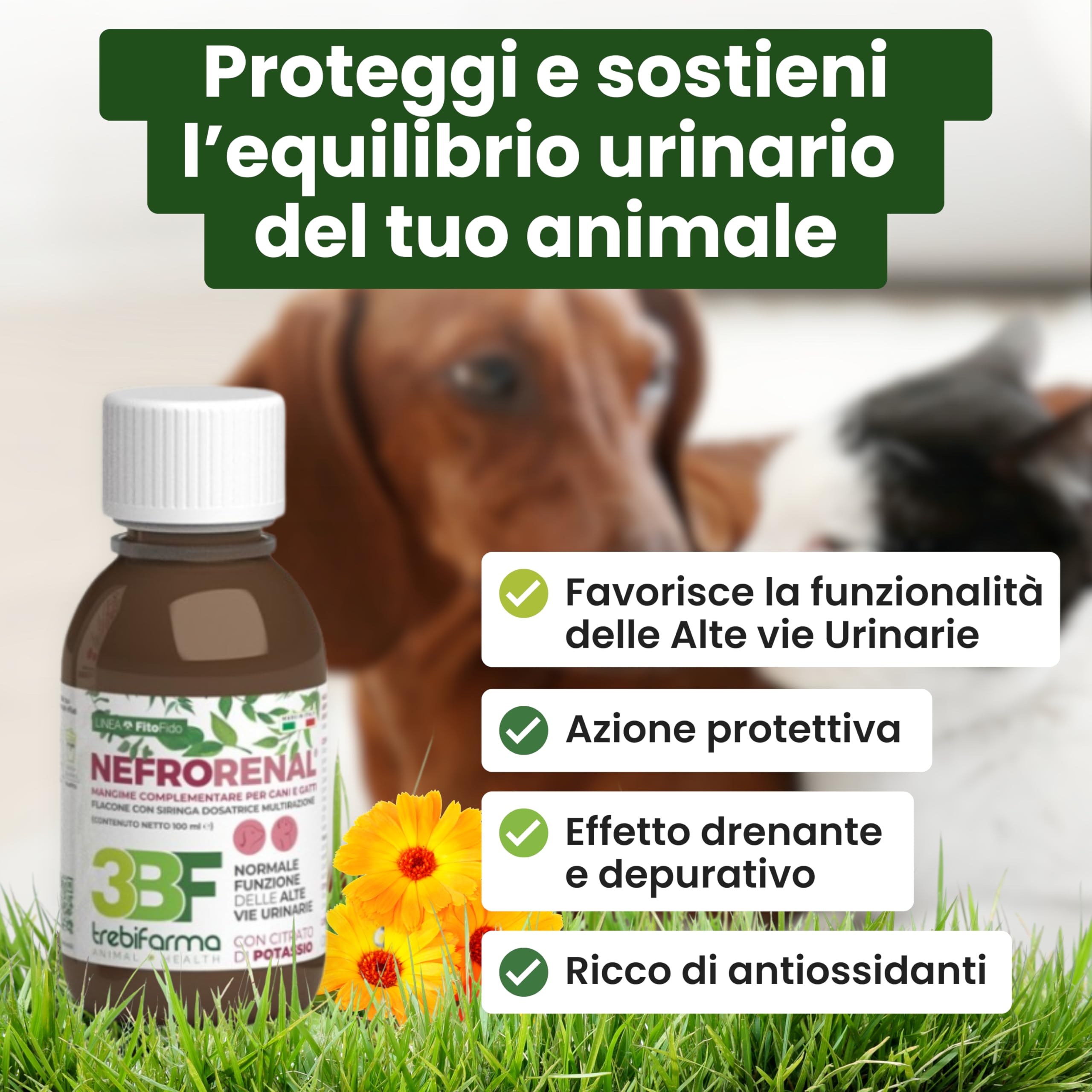 Trebifarma Nefrorenal per Cani e Gatti – Supporto Naturale alle Vie Urinarie – Mangime Complementare Liquido per la Funzione Urinaria – Flacone da 100 ml con Siringa Graduata Multidose