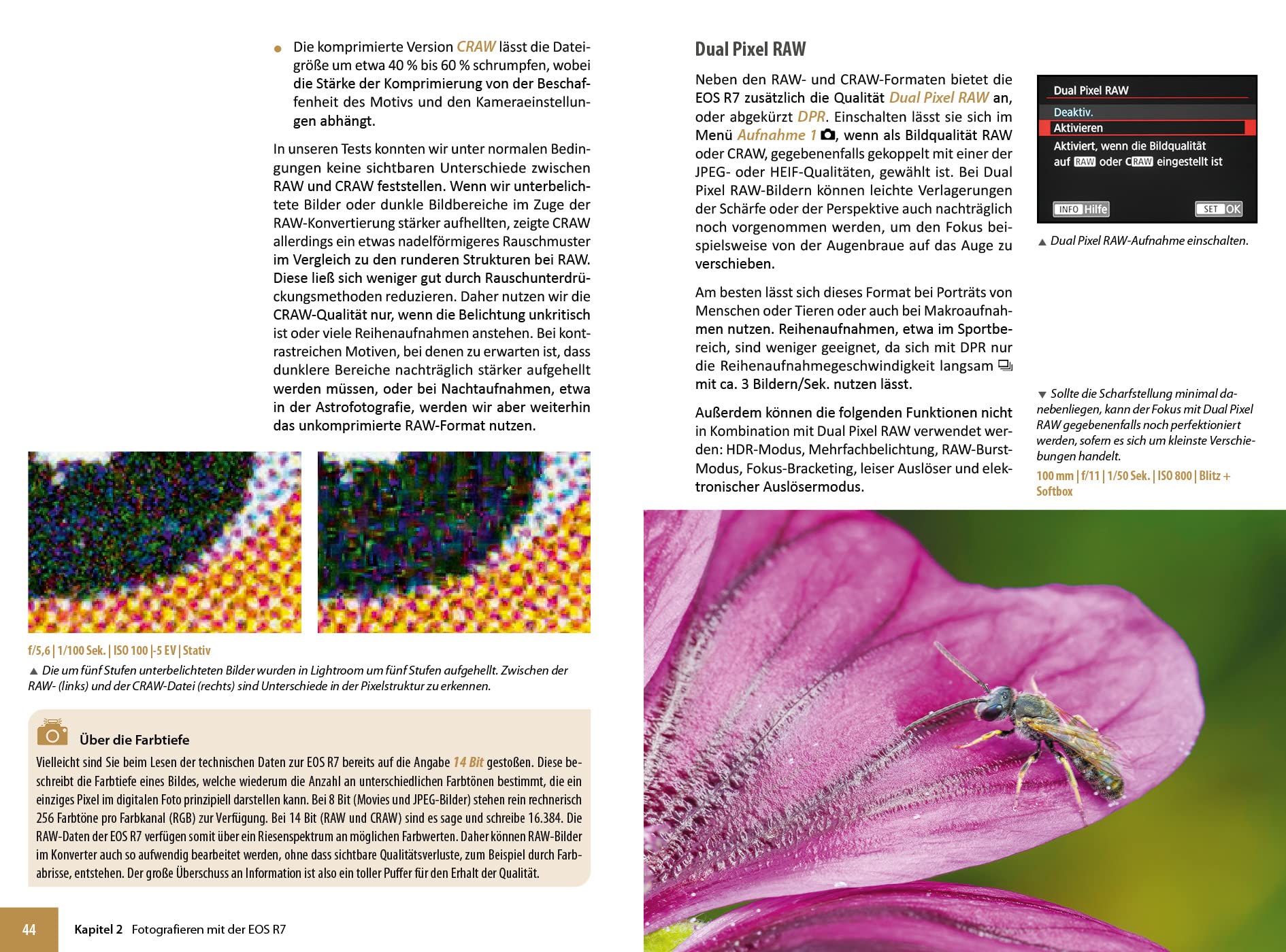 Canon EOS R7: Das umfangreiche Praxisbuch zu Ihrer Kamera!