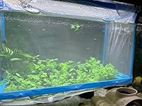 Review Image by Carie Janetta Carie Janetta