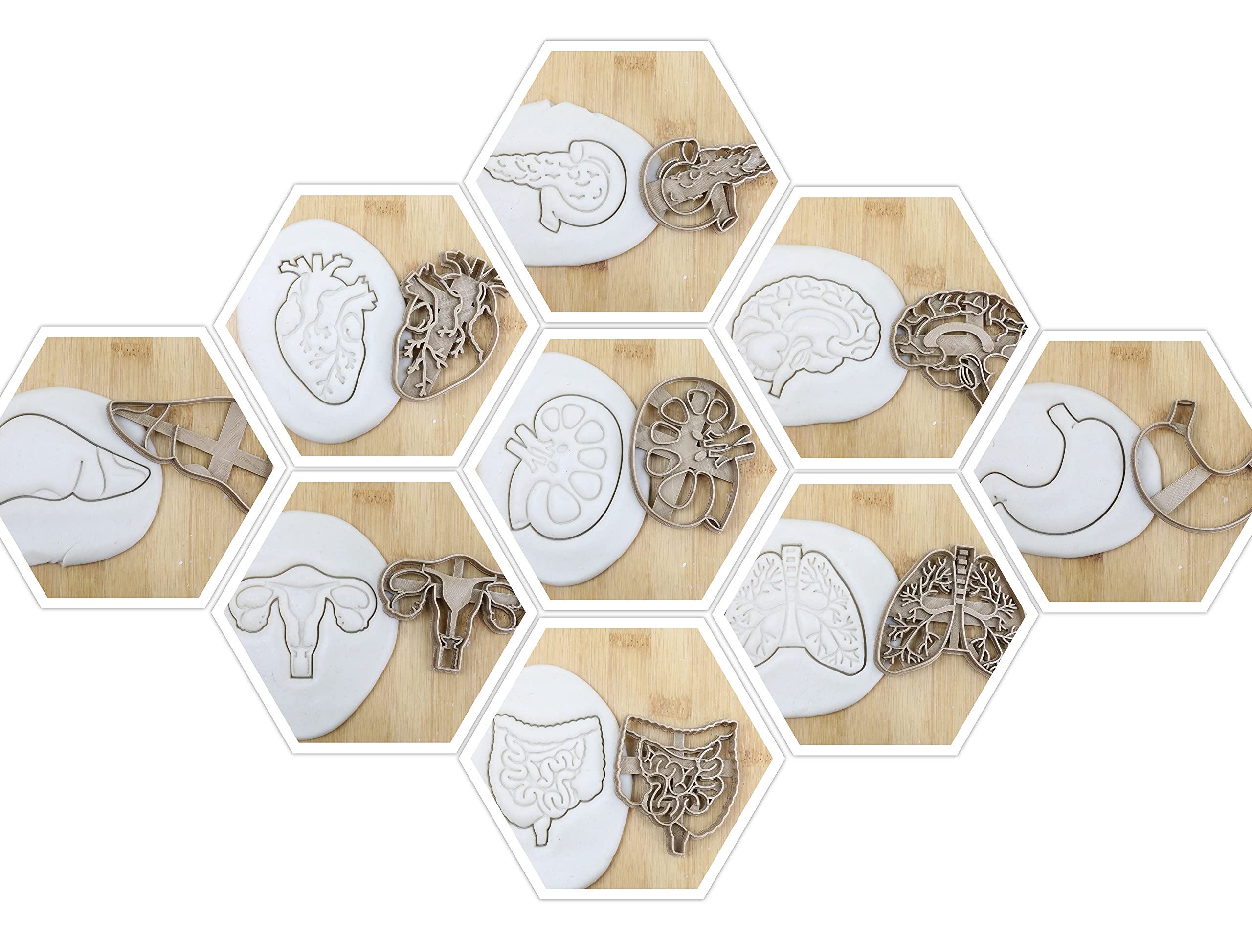 Organ Set(9st) Gehirn/Lunge/Niere/Herz/Darm/Pankreas/Leber/Magen/Gebärmutter Cookie Cutter Fondant Keksstempel/Ausstechform Keksausstecher Plätzchen ca. 8cm