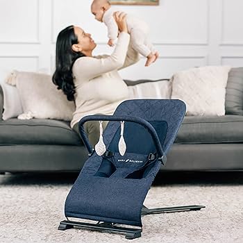 Amazon.com : Baby Delight Alpine Deluxe Portable Bouncer, Infant