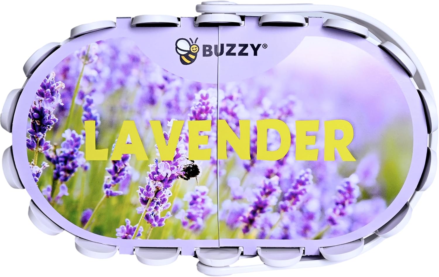BUZZY Seeds Grow Your Own Lavender Basket – Indoor Flower Grow Kit with Growing Medium, Easy Instructions, Decorative White Basket – Ideal Gardening Gift for Beginners Plant Lovers DIY