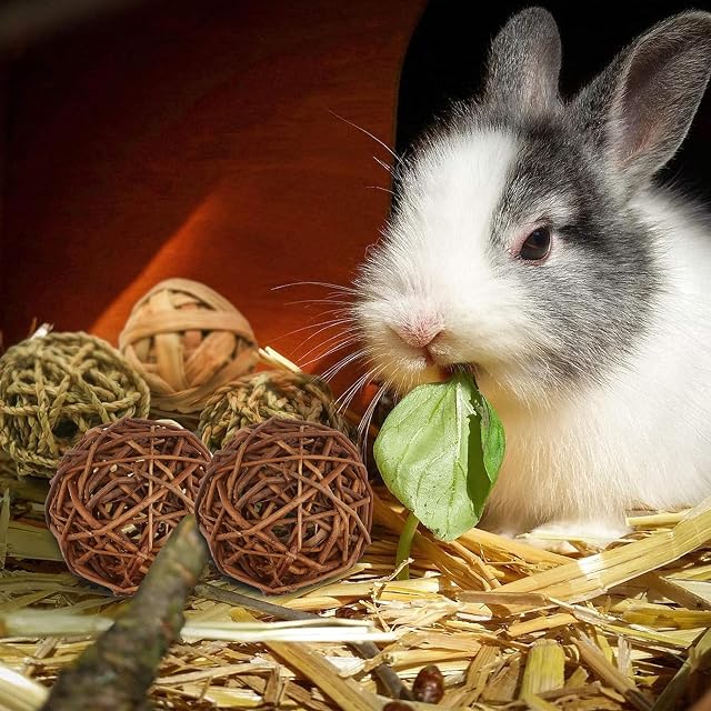 Foto 8 de 8 de ZYEKIU Juguetes para Conejos 9 Piezas Pequeños Animales Bola para Masticar