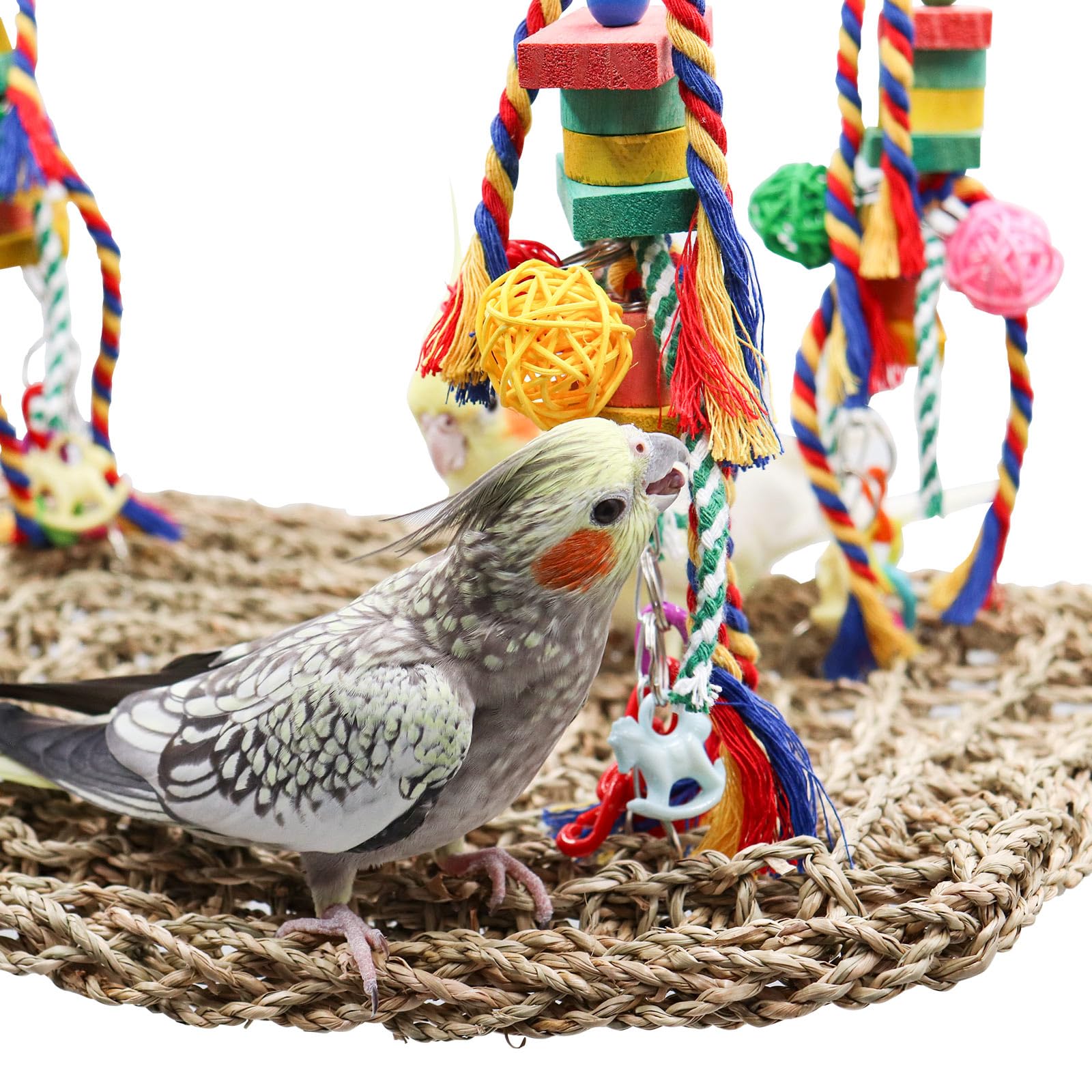 Große Vogelschaukel & Seegrasmatte – Buntes Spielzeug Für Sittiche, Nymphensittiche & Kleine Vögel