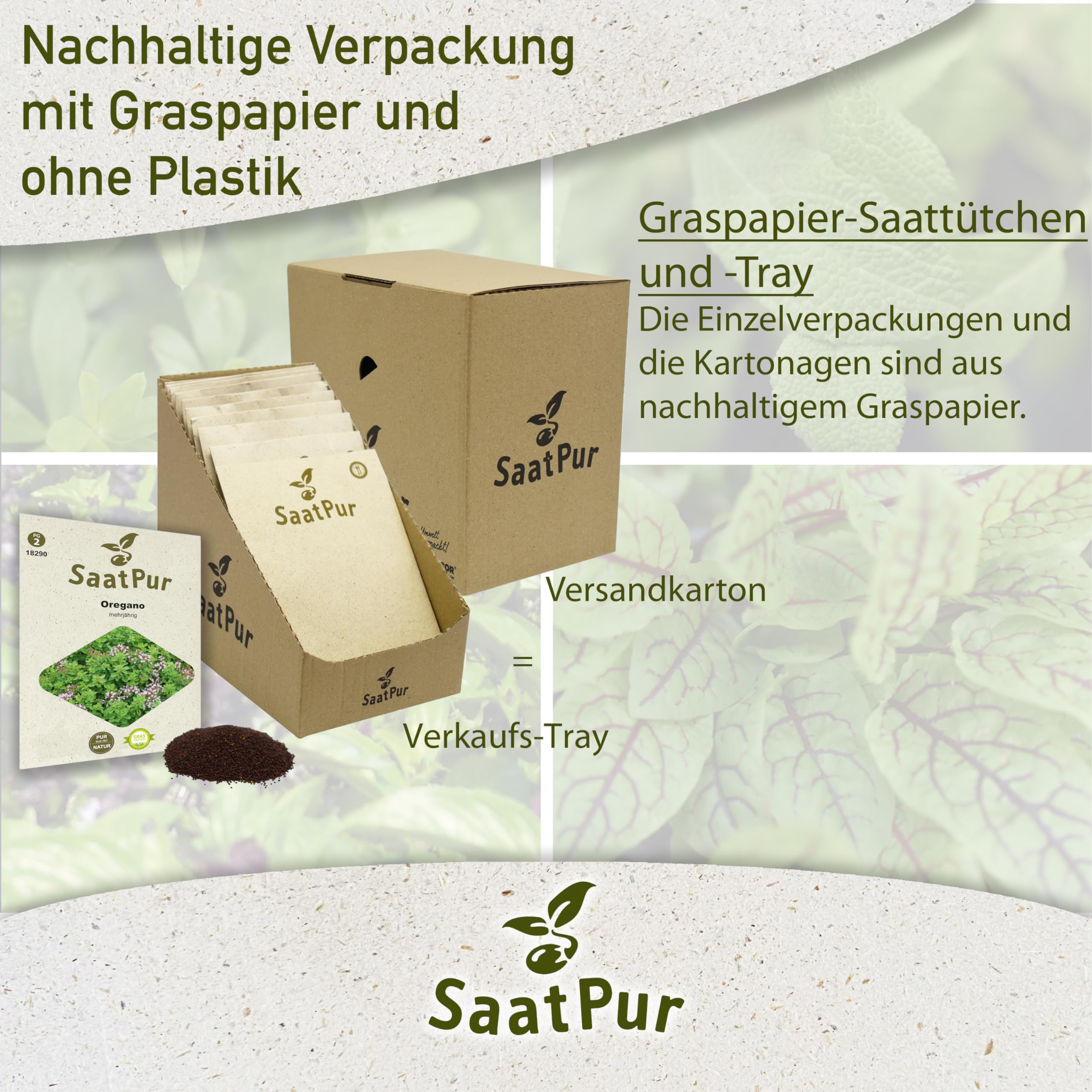 SaatPur Oregano Samen, samenfeste Samen Saatgut - Kleines Tray mit 25 Portionstüten für je ca. 150 Pflanzen
